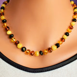 Gorgious Adult Multi four Baltic Amber Necklace